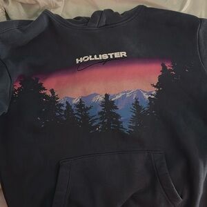 men’s hollister hoodie